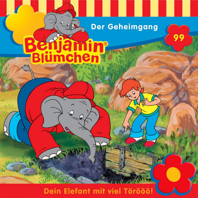 Cover: Der Geheimgang