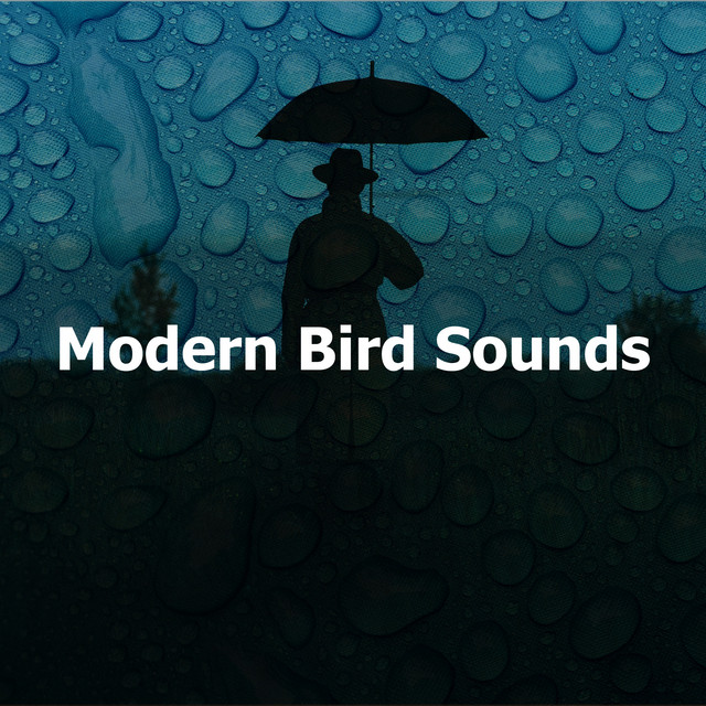 Modern Bird Sounds cover art