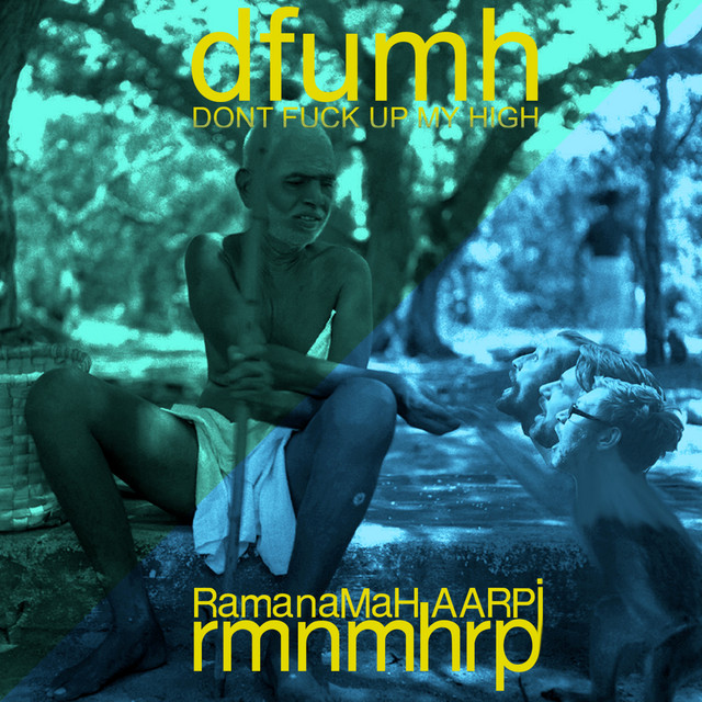 RamanaMaHAARPi cover art