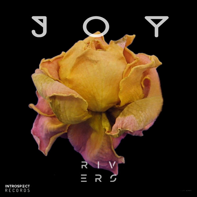 Joy cover art