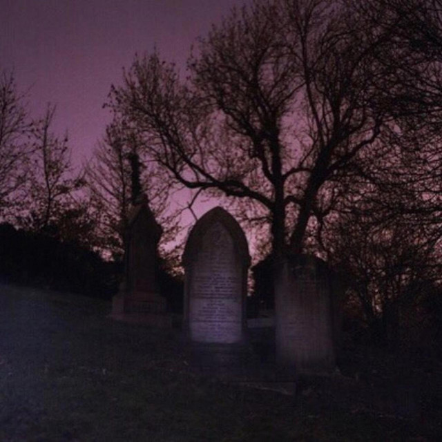 Ab67616d0000b273d1160db9bf6abc59169555ee