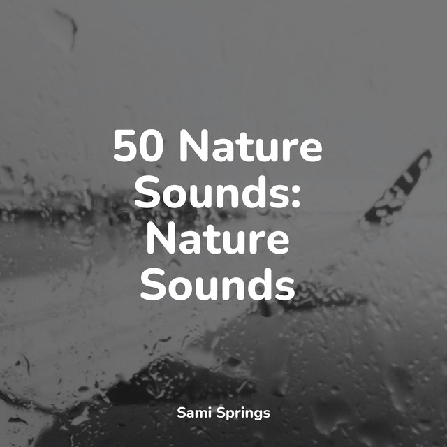 50 Nature Sounds: Nature Sounds - Album by The Sleep Principle | Spotify