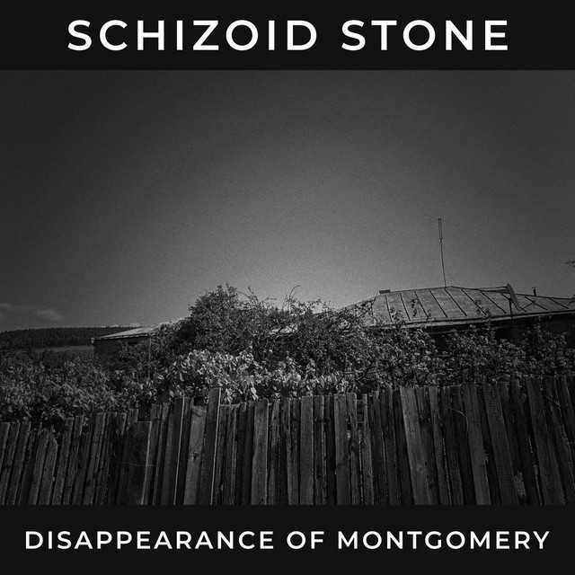Disappearance of Montgomery (single)