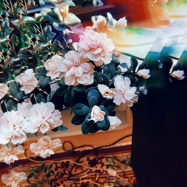 Flowers Dope cover art