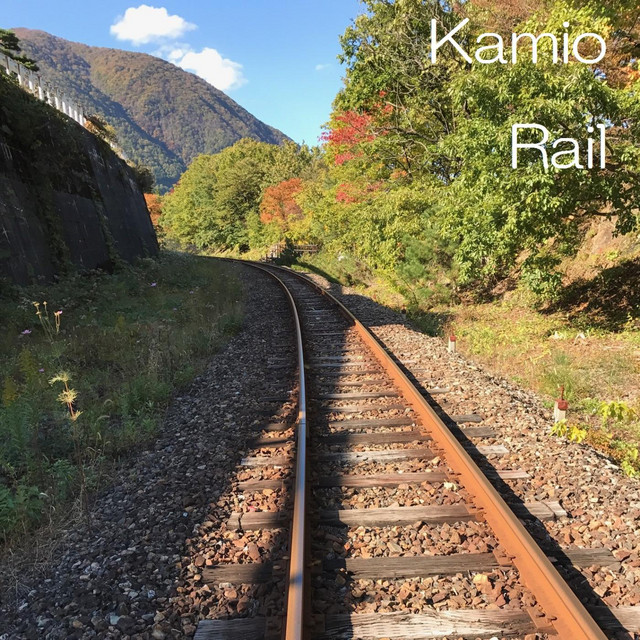 Rail cover art
