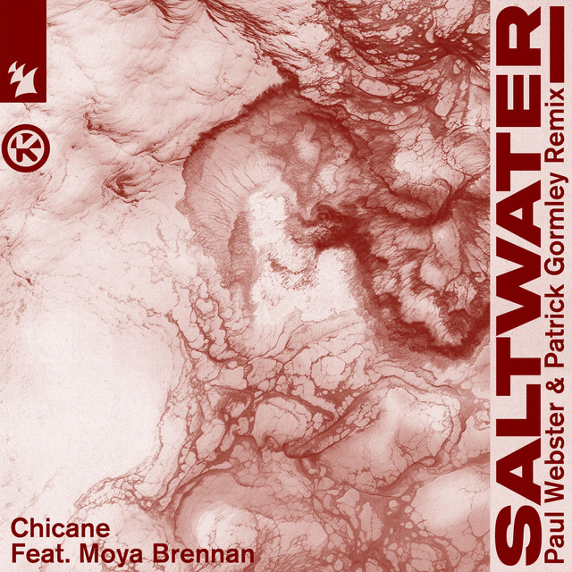 Saltwater (Paul Webster & Patrick Gormley Remix) cover art