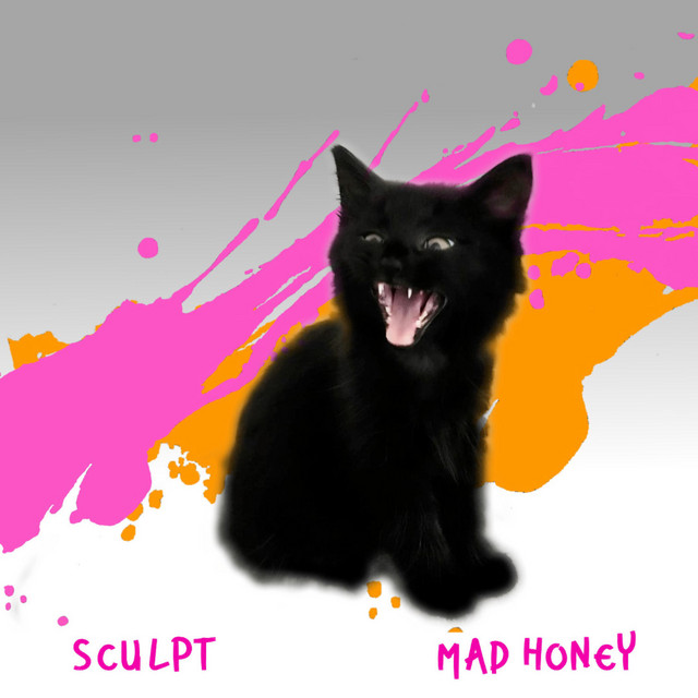 Mad Honey cover art