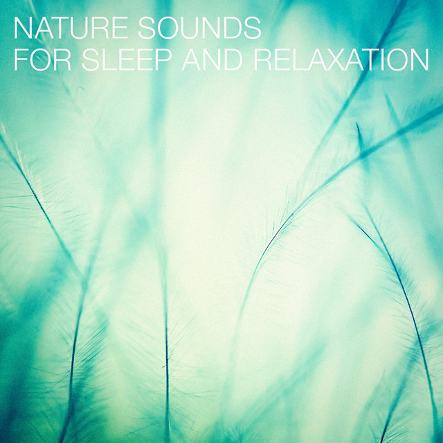 Nature Sounds for Sleep and Relaxation cover art