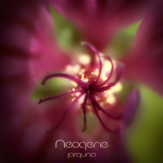 Neogene cover