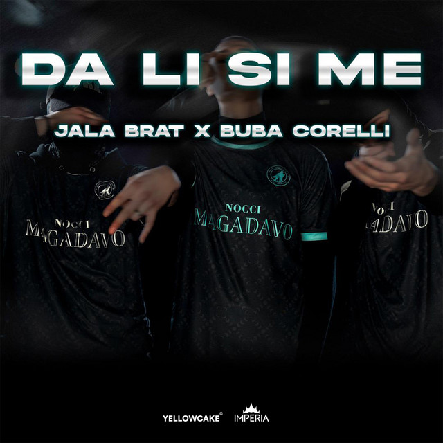 Da li si me cover art