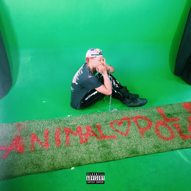 Animal