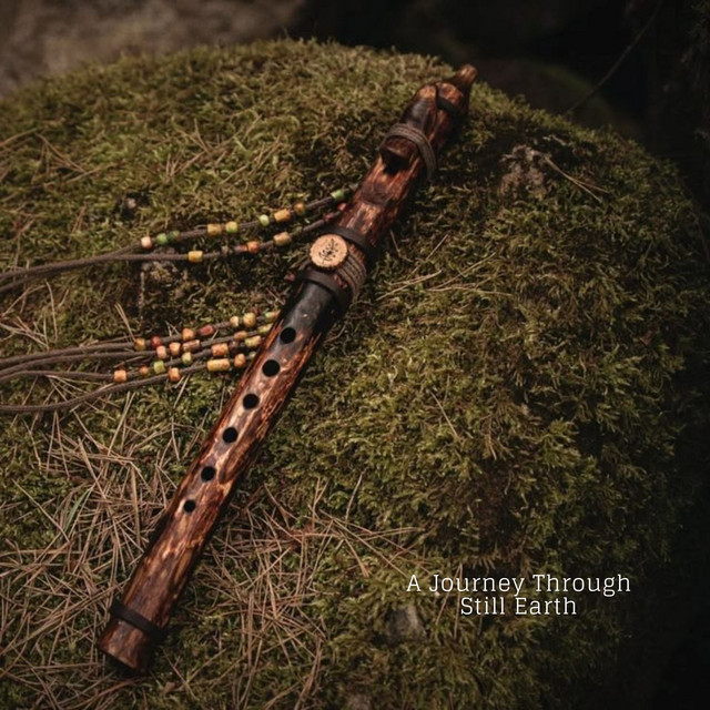 A Journey Through Still Earth