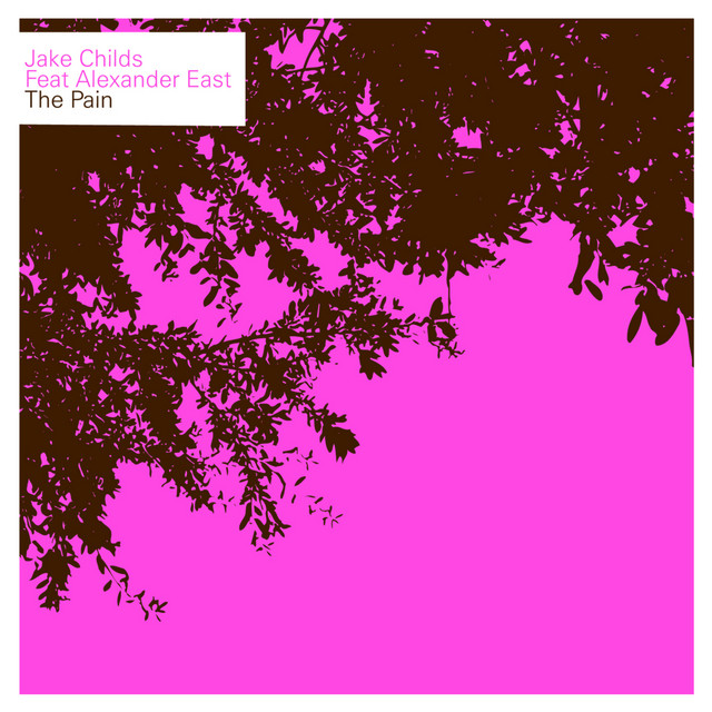 The Pain cover art