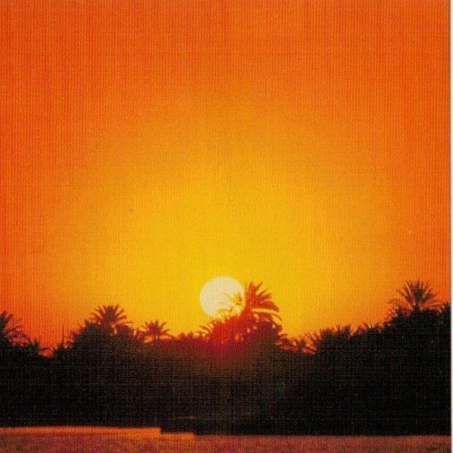 PALMZ cover art