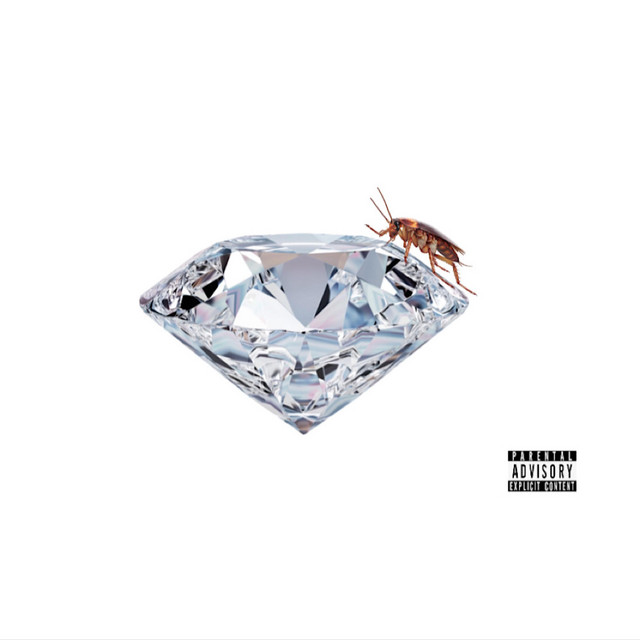 Rich Roaches cover art