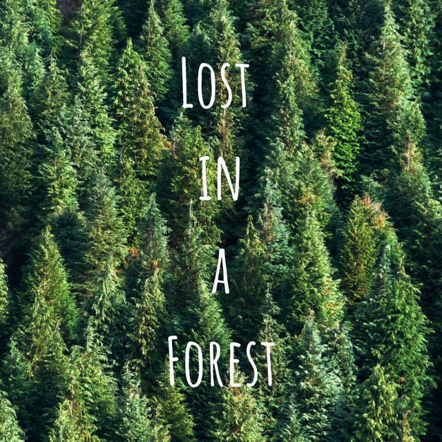 Lost in a Forest by Lush Rain Creators