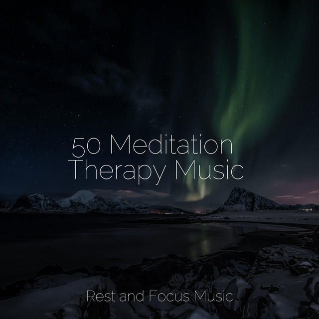 50 Meditation Therapy Music - Album by Study Concentration | Spotify