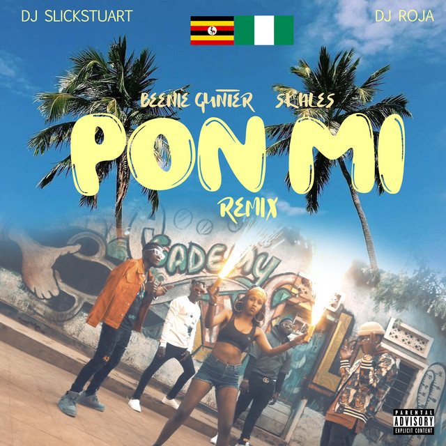 Pon Mi - Remix
