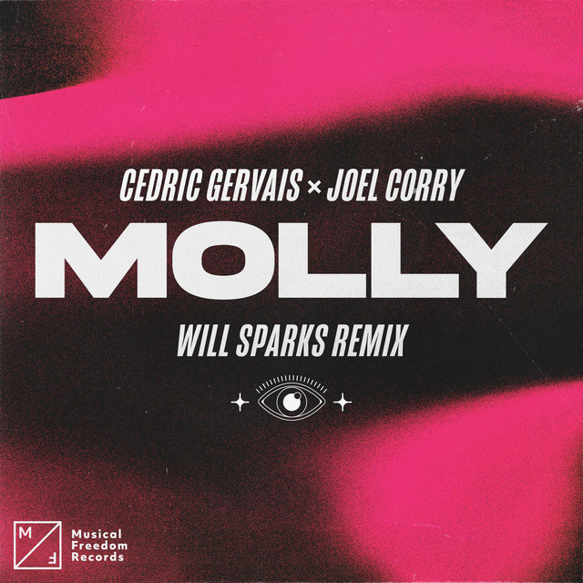 MOLLY (Will Sparks Remix) - Extended Mix album art