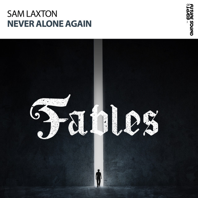 Never Alone Again - Extended Mix album art