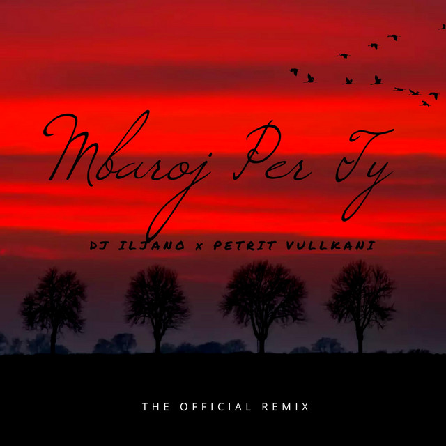 Mbaroj per ty - Official Remix