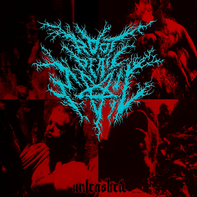 Unleashed cover art