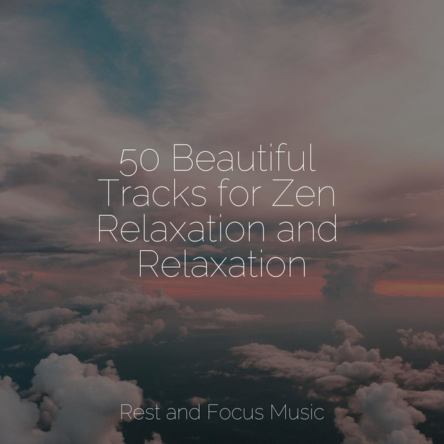 50 Beautiful Tracks for Zen Relaxation and Relaxation - Album by Musica ...