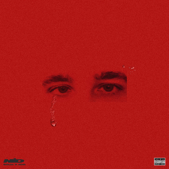 NOSTALGIA IN DREAMS cover art