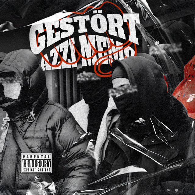 GESTÖRT cover