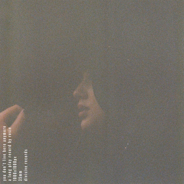 you don't live here anymore cover art
