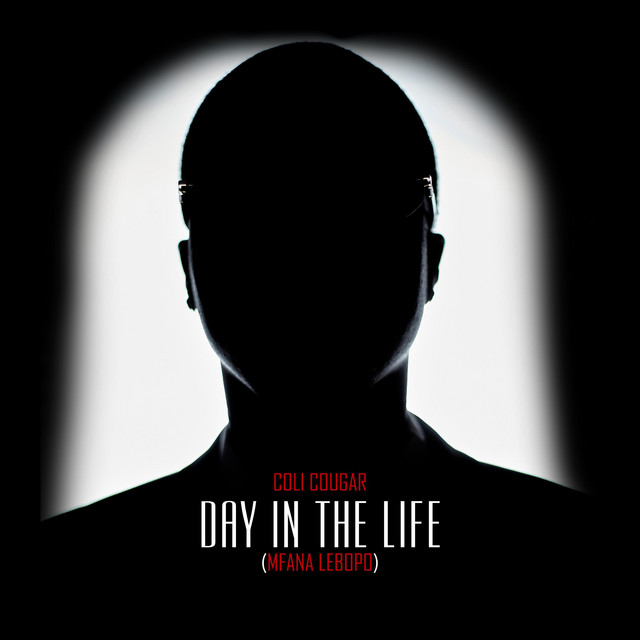 DAY IN THE LIFE (MFANA LEBOPO)