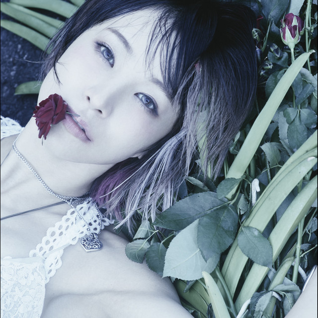 ASH - Single by LiSA | Spotify