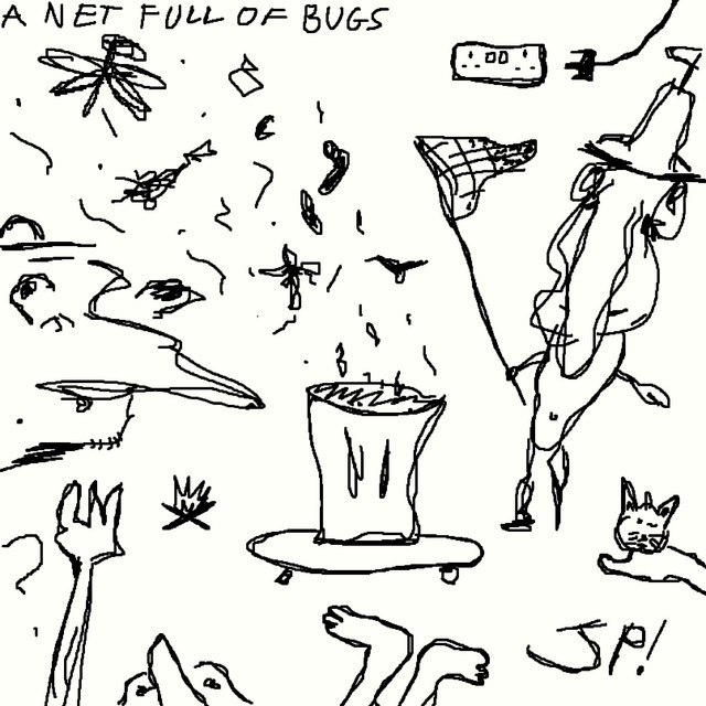 A Net Full of Bugs cover art