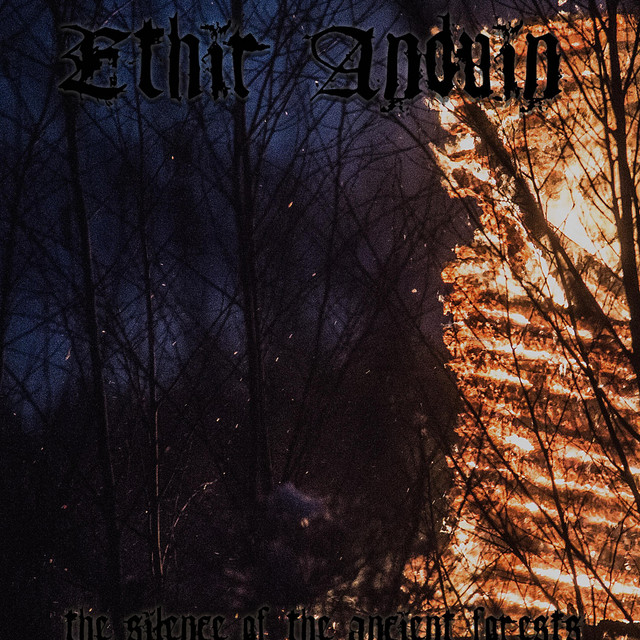 The Silence of the Ancient Forests cover art