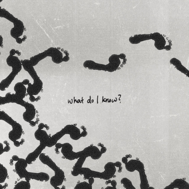 What Do I Know?