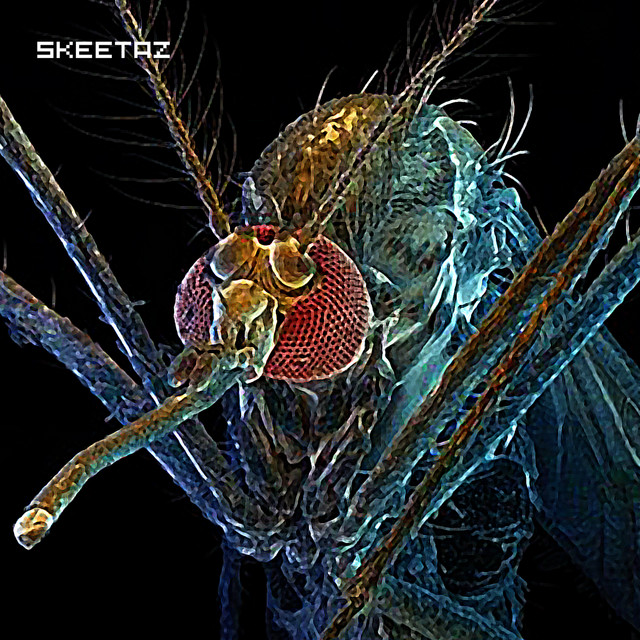 Skeetaz Photo