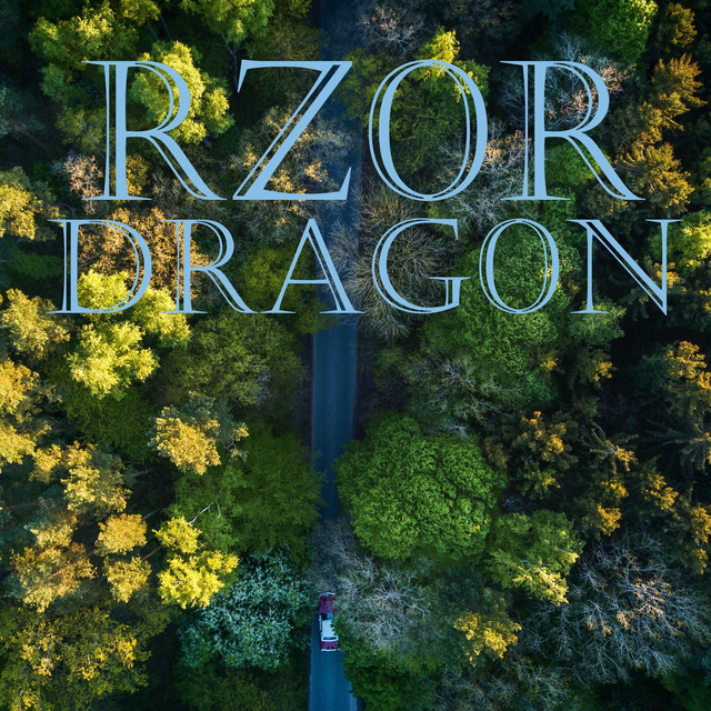 Back Again - song and lyrics by Rz0r | Spotify
