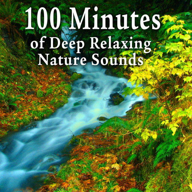 100 Minutes of Deep Relaxing Nature Sounds - Album by Nature Soundscape ...