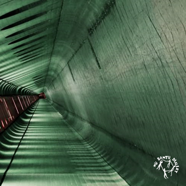 The Grand Scheme cover art
