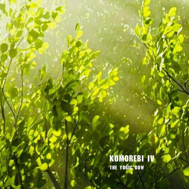 Komorebi IV