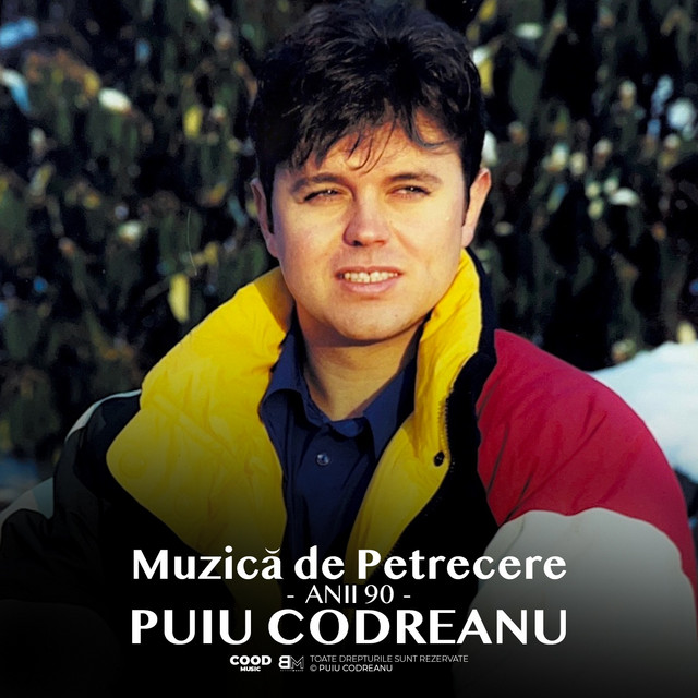 Muzică de petrecere (Anii 90) cover art