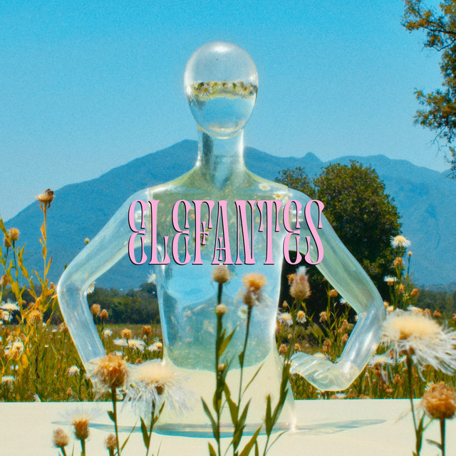 Elefantes