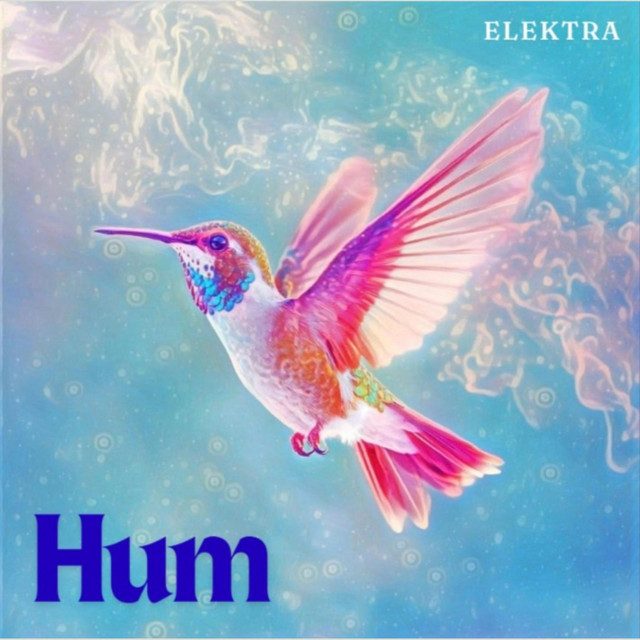 Hum cover art