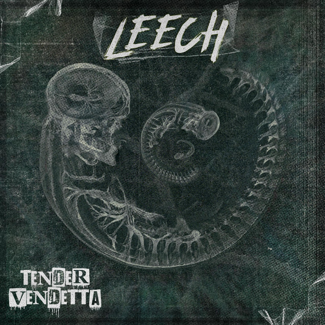 Leech cover