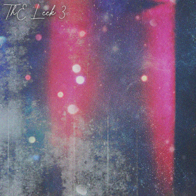 The Leek 3! cover art