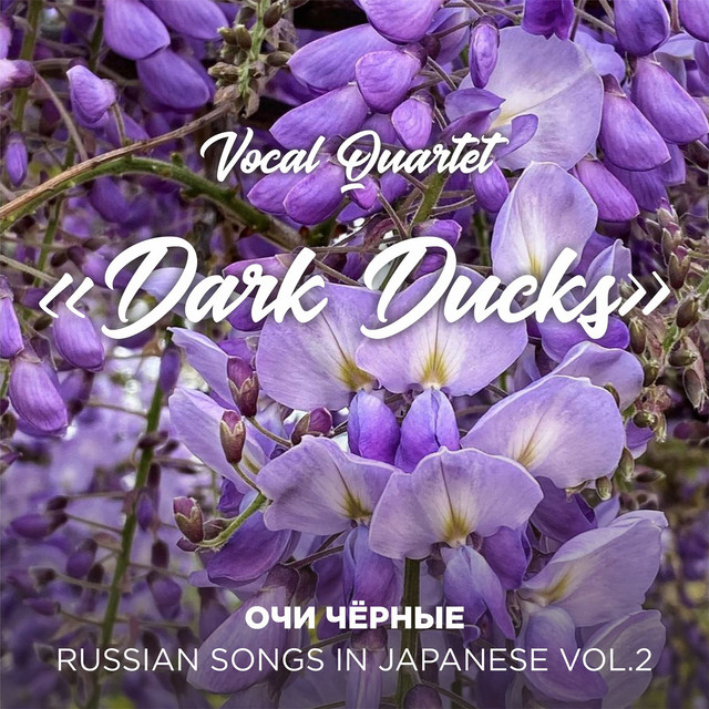 Vocal Quartet "Dark Ducks"