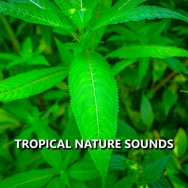Tropical Nature Sounds cover art