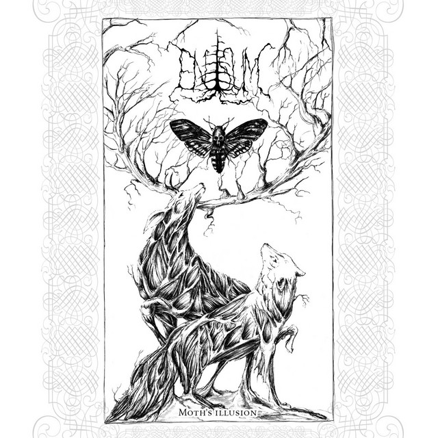 Moth's Illusion cover art