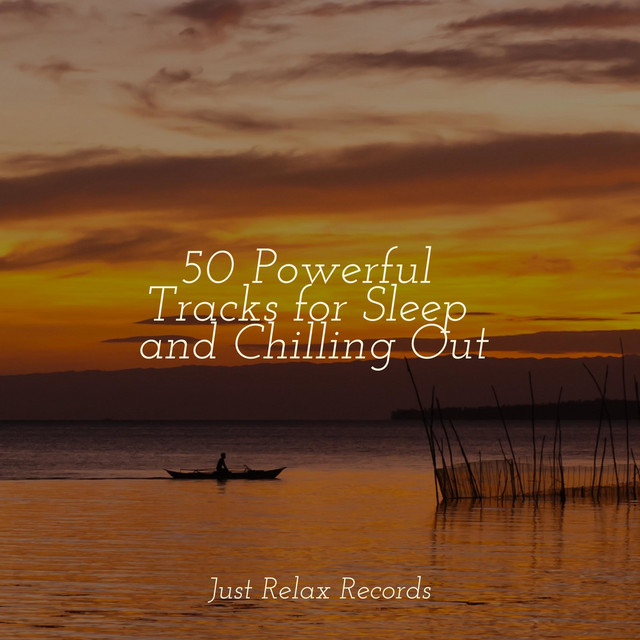 50 Powerful Tracks for Sleep and Chilling Out - Album by Chillout ...