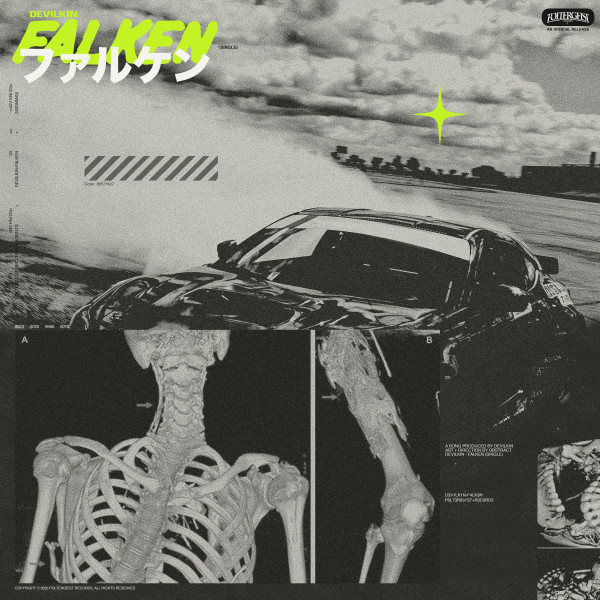Falken cover art